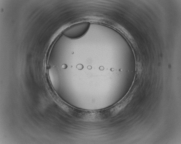 X0000087630891200705030724