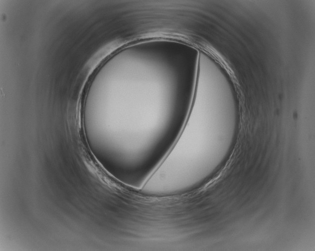 X0000087630892200705030724