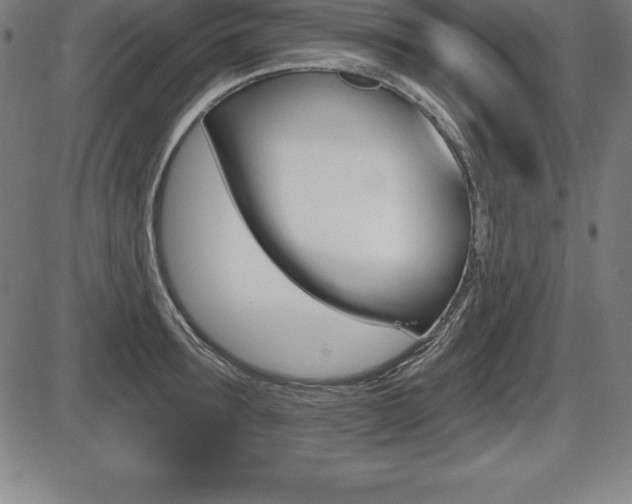 X0000087630899200705030724