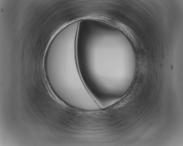 X0000087630900200705030724