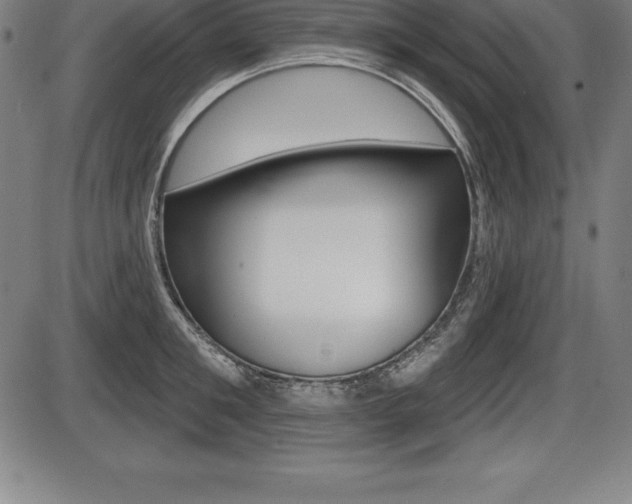 X0000087630901200705030724