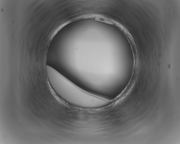 X0000087630905200705030724