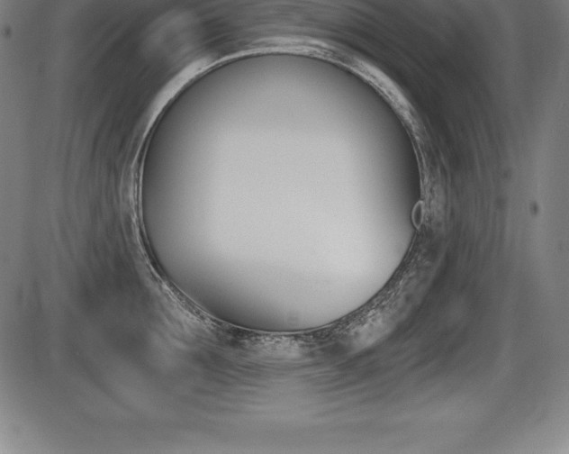 X0000087630907200705030724