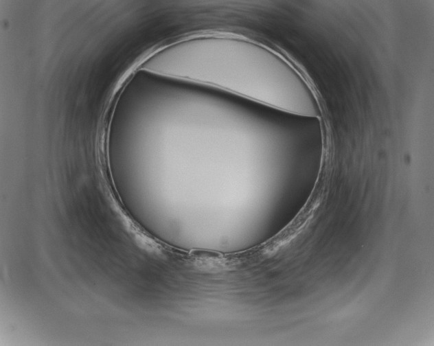 X0000087630909200705030724