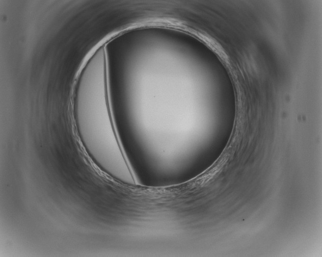 X0000087630912200705030724