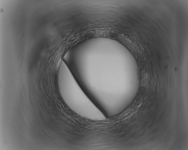 X0000087630913200705030723