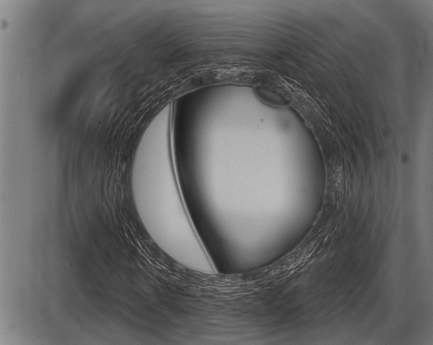 X0000087630914200705030723