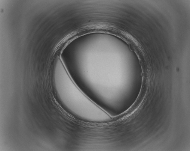 X0000087630922200705030723