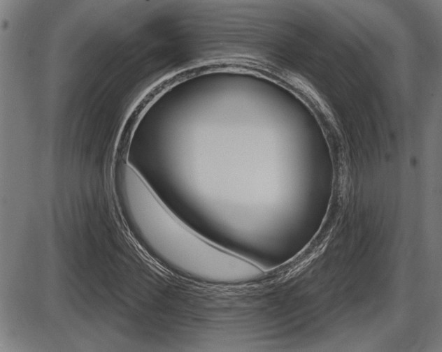X0000087630924200705030723