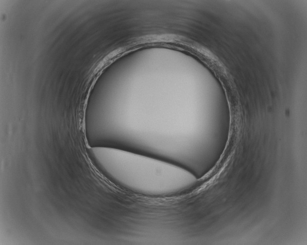 X0000087630929200705030723