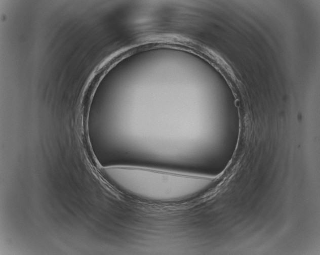X0000087630931200705030723