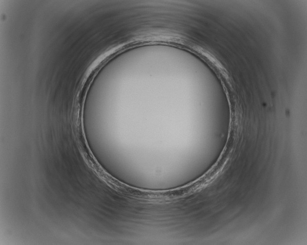 X0000087630933200705030723