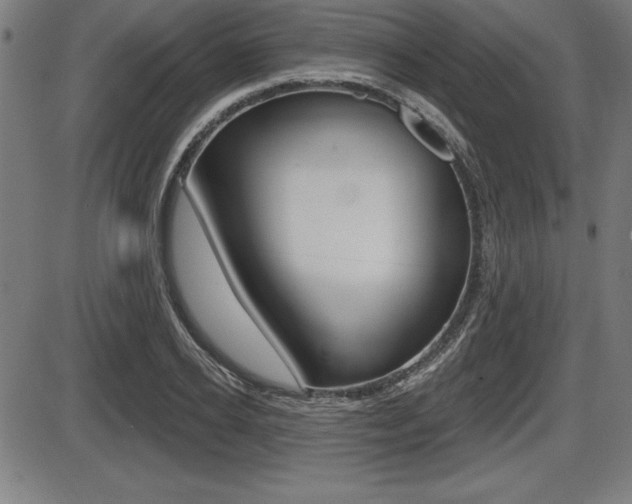 X0000087630934200705030723