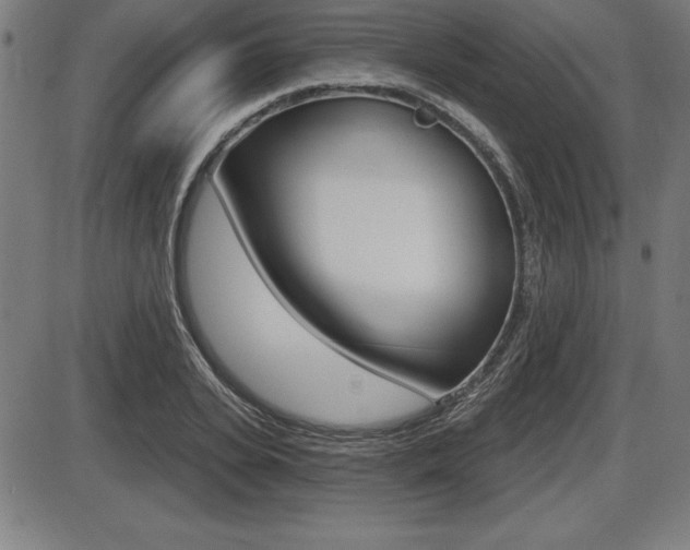 X0000087630935200705030724