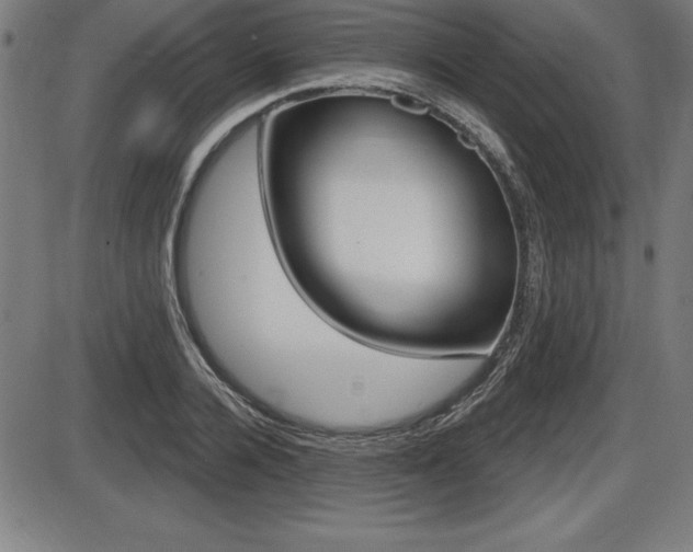 X0000087630936200705030724