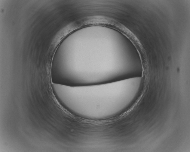 X0000087630937200705030724