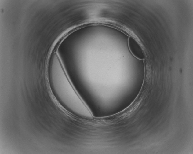 X0000087630939200705030724