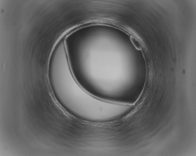 X0000087630940200705030724