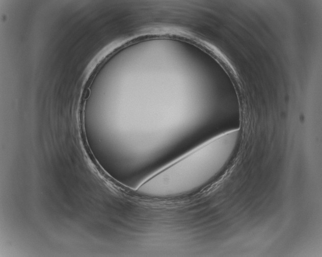 X0000087630943200705030724