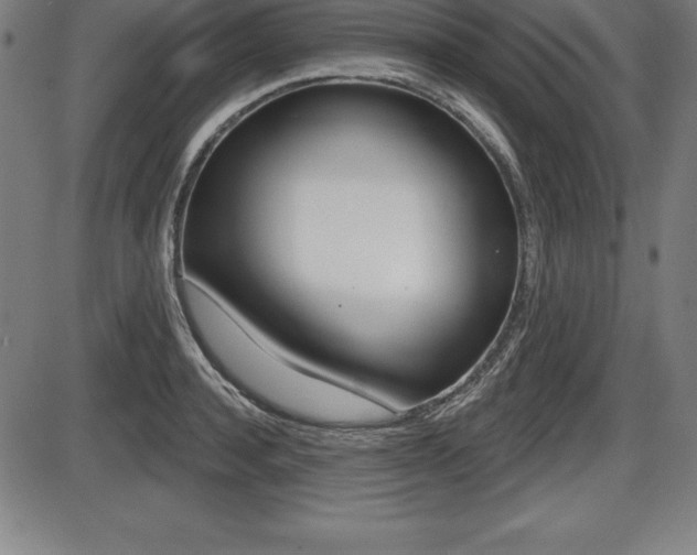 X0000087630944200705030724