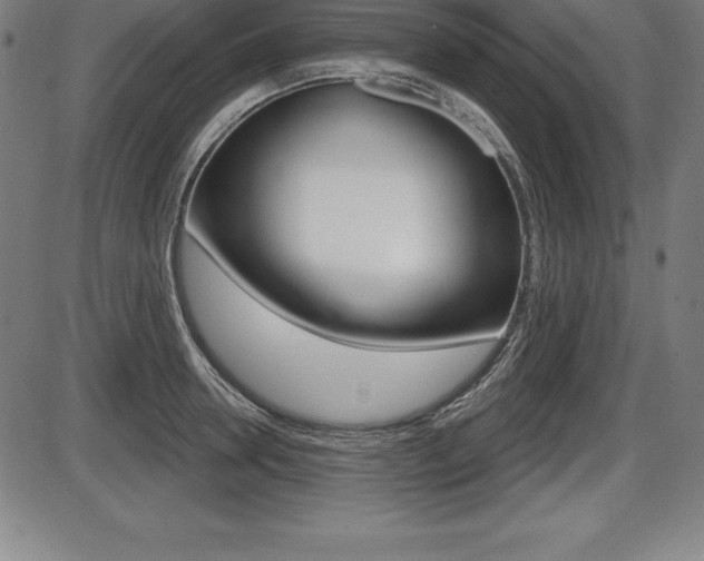 X0000087630946200705030724