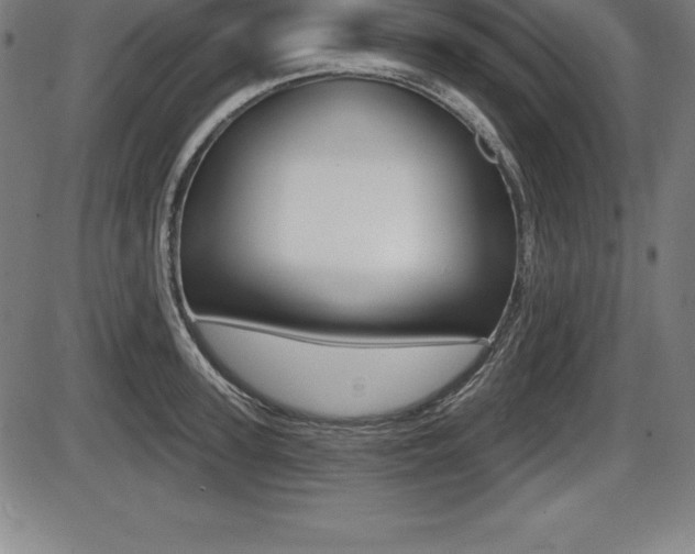 X0000087630947200705030724