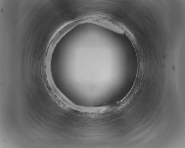 X0000087630948200705030724