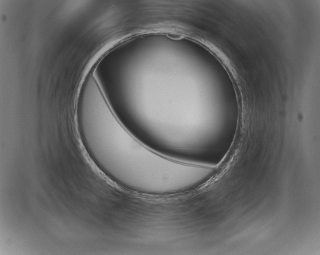 X0000087630949200705030724
