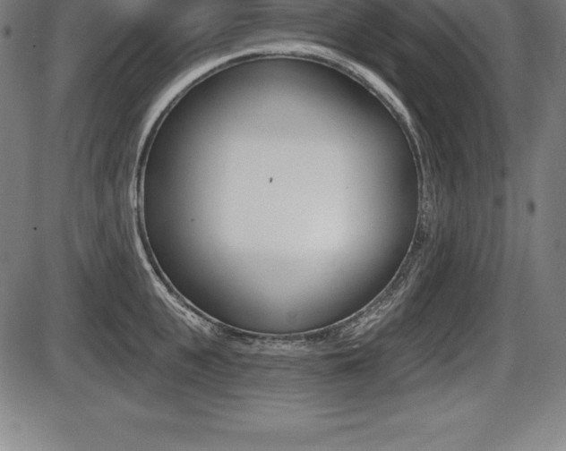 X0000087630951200705030724