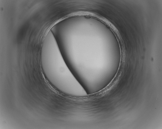 X0000087630953200705030724