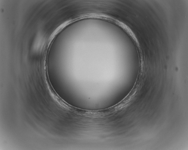 X0000087630954200705030724
