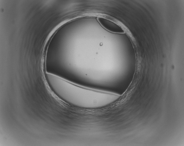 X0000087630955200705030724