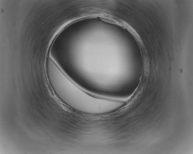X0000087630956200705030724