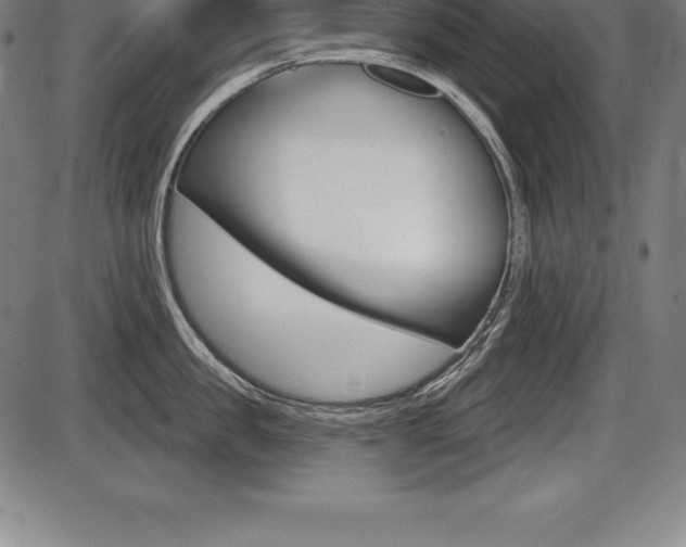 X0000087630957200705030724