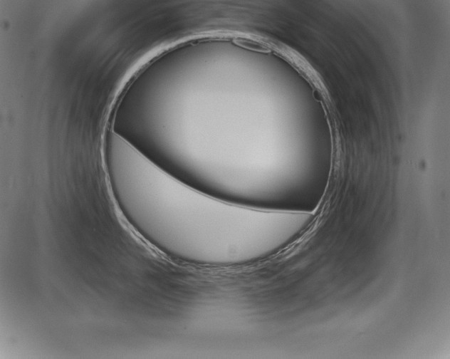 X0000087630958200705030724