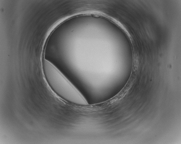 X0000087630959200705030724