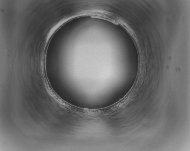 X0000087630960200705030724
