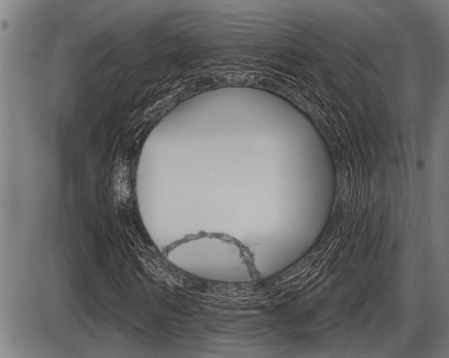 X0000087630962200705030723