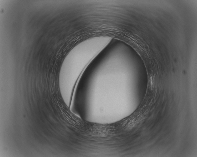 X0000087630963200705030723