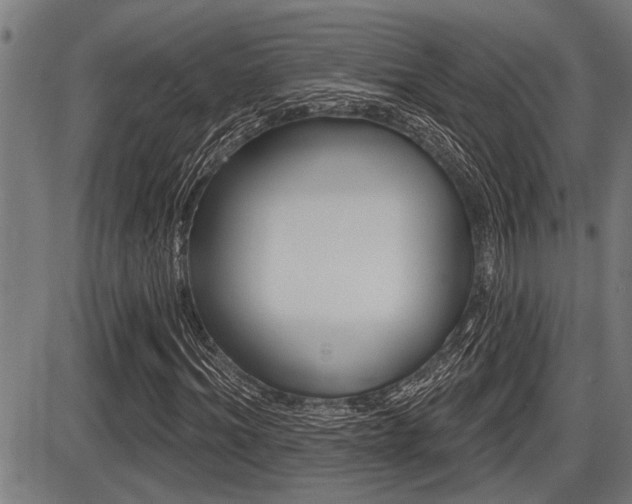 X0000087630964200705030723