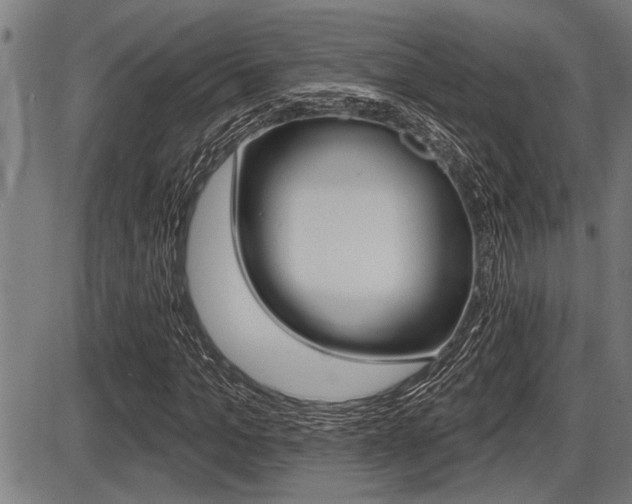 X0000087630965200705030723