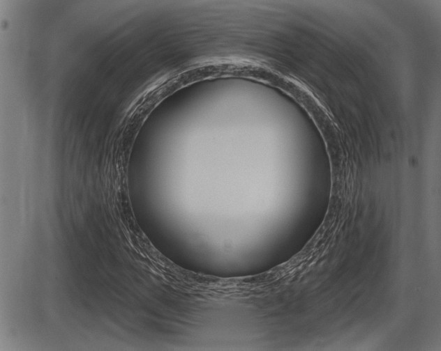 X0000087630967200705030723