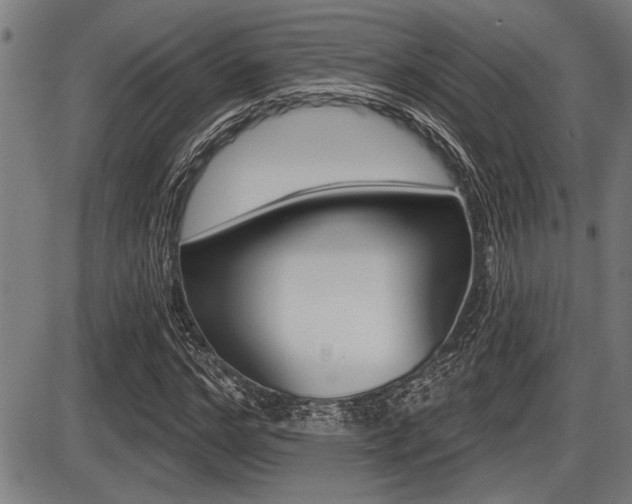 X0000087630968200705030723