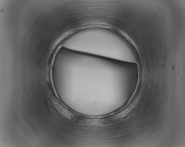 X0000087630970200705030723