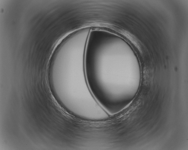 X0000087630972200705030723