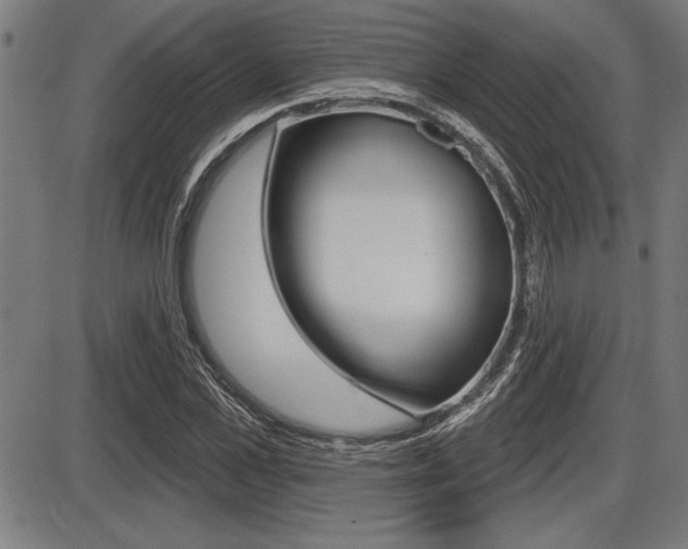 X0000087630973200705030723