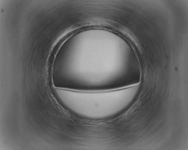 X0000087630975200705030723