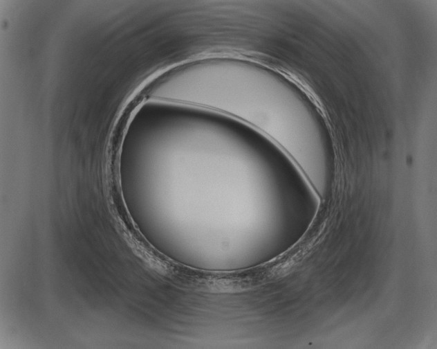X0000087630976200705030723