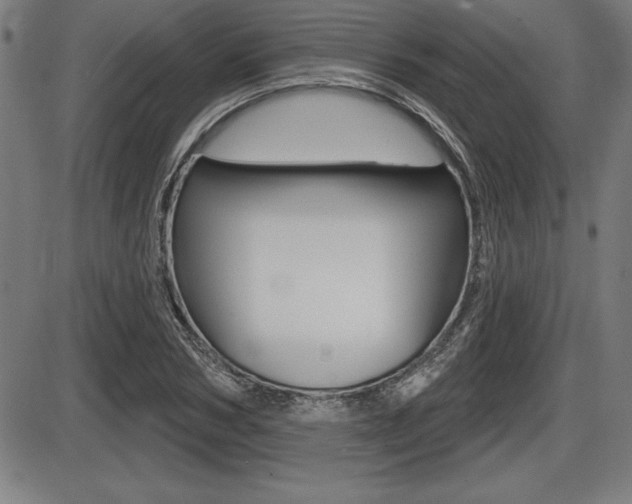 X0000087630978200705030723