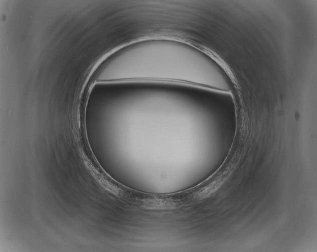 X0000087630980200705030723